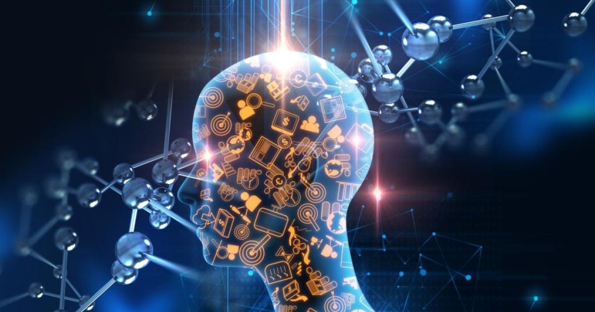 Software Development Highlight